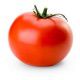 Гибрид - 24 F1 семена томата дет. (Элитный Ряд)
