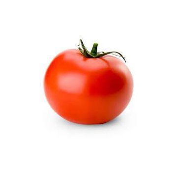 Гибрид - 24 F1 семена томата дет. (Элитный Ряд)