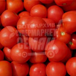 Отранто F1 насіння томату дет. (Bayer Nunhems)