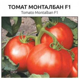 Монталбан F1 семена томата индет (United Genetics)