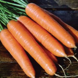 Роте Різен насіння моркви (Польща)