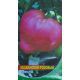 Абаканский розовый семена томата индет розового (Элитный ряд)