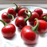 Черри красный семена перца сладкого (Hortus)