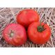 Загадка красная семена томата дет. раннего 80-85 дн. окр. 80-90 гр. (Элитный ряд)