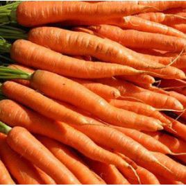 Камаран F1 семена моркови Берликум PR (1,8-2,0 мм) (Bejo)
