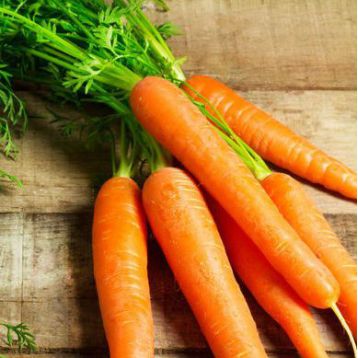 Камаран F1 семена моркови Берликум PR (2,2-2,4 мм) (Bejo)