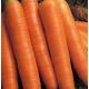Червоний Велетень насіння моркви (SX)