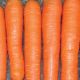 Нантес 3 (Стронг Топ) насіння моркви (Innova Seeds)