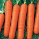 Натофи семена моркови (Свитязь)