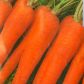 Флакко семена моркови Флакке (Euroseed)