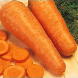 Шантане семена моркови (Euroseed)