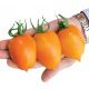 Луштица F1 семена томата индет оранж раннего (Семко)