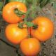 Бигоранж F1 семена томата индет раннего окр оранж (Семко)
