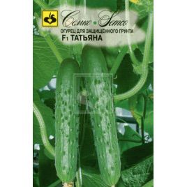 семена огурца татьяна f1