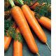 Флаккоро семена моркови Флакке поздней 120-130 дн. (Семко)