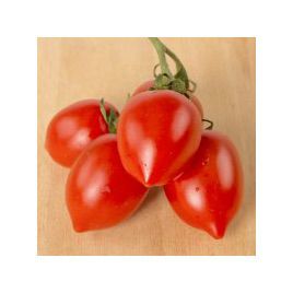 Олівія F1 насіння помідора детермінантного (United Genetics)