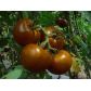 Будулай F1 насіння помідора індетермінантного (Елітний ряд)