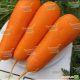 Болівар F1 насіння моркви Шантане(Clause)