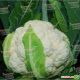 Бригантина F1 семена капусты цветной средней 75-80 дн. 2-3 кг бел. (Clause)