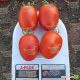 Дино F1 семена томата дет. раннего 95-105 дн. слив. 130-150г красный (Clause)