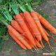 Матч F1 семена моркови Нантес (Clause)