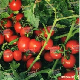 7204 F1 семена томата дет. раннего 105 дн. слив. 80 гр. красный (Heinz/Lark Seeds) НЕТ ТОВАРА