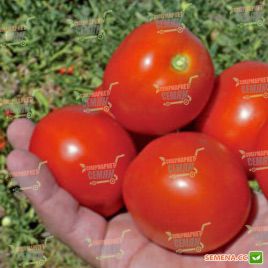 Дедал F1 насіння томату дет. (Lark Seeds)