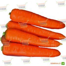 Курода семена моркови (Lark Seeds)
