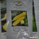 Уокер F1 семена кукурузы суперсладкой Sh2 ранней 73 дн. 25 см 16-18 р. (Lark Seeds)