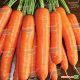 Карболи F1 семена моркови средней Нантес 115-120 дн. (Seminis) НЕТ СЕМЯН