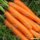 Карведжо F1 семена моркови Нантес (Seminis)
