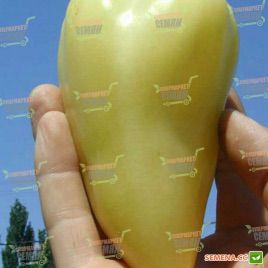 Лумина Белозерка семена перца сладкого тип Венгерский раннего 55-60 дн. конич. 140г. 5-6мм кость/красн. (Semenaoptom)