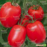 Рио Гранде семена томата дет. среднего 100-110 дн. слив. 120-130 гр. (Semenaoptom)