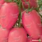 Розовый новичок семена томата дет. среднего 120 дн. слив. 100 гр. роз. (Semenaoptom)