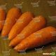 Шантане семена моркови Шантане Италия (Semenaoptom)