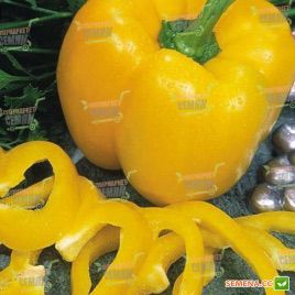 Золотой Юбилей семена перца сладкого (Semenaoptom)