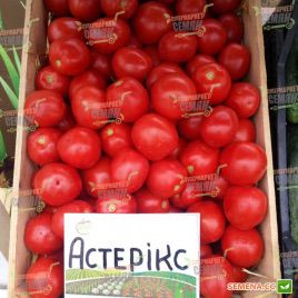 Астерикс F1 семена томата дет. среднего 100-105 дн. слив. 60-80 гр. красный (Syngenta)