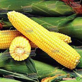 Джубили F1 семена кукурузы суперсладкой (Syngenta)