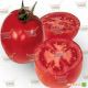 ГС 12 F1 (GS 12 F1) насіння помідора детермінантного (Syngenta)