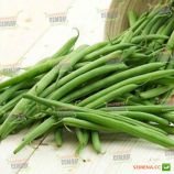 Нагано семена фасоли спаржевой - Nunhems, купить, цена в интернет-магазине- Супермаркет Семян