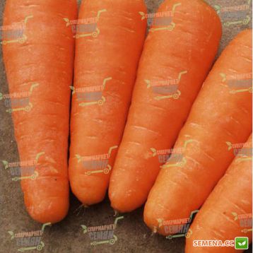 Шантанэ Ред Кор семена моркови Шантане (Agri Saaten)