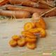 Лагуна F1 насіння моркви Нантес (прайм.) (1,4-1,6) (Bayer Nunhems)