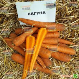 Лагуна F1 (прайм. 1,4-1,6) семена моркови Нантес от 60 дн. 18-24 см (Nunhems) СНЯТО С ПРОИЗВОДСТВА