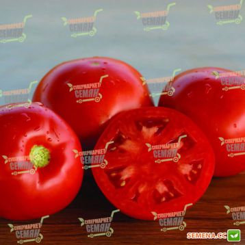 Платинум F1 насіння томату дет. (Bayer Nunhems)