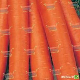 Навал F1 семена моркови Нантес (1,6-1,8 мм) (Bejo)