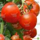 Агилис F1 (Аджилис F1) семена томата индет. ультрараннего 90-100 дн. окр. 200-220 гр. красный (Enza Zaden)