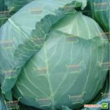Зеус F1 (Гелиос F1) семена капусты б/к среднеранней 70-75 дн. 2-2,5 кг окр. (Moravoseed)