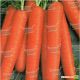 Марион F1 семена моркови Нантес (Moravoseed)