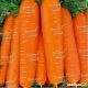 Тинга семена моркови Флакке (Moravoseed)