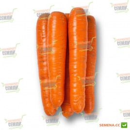 Фидра F1 семена моркови Нантес. (калибр меньше 1,6) (Rijk Zwaan)